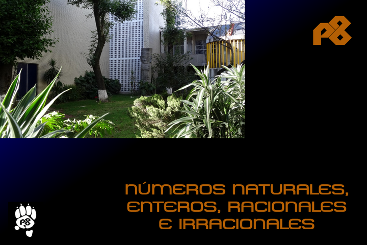03. Nmeros naturales, enteros, racionales e irracionales