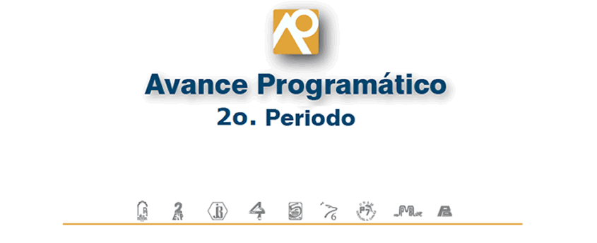 2o. Avance Programático