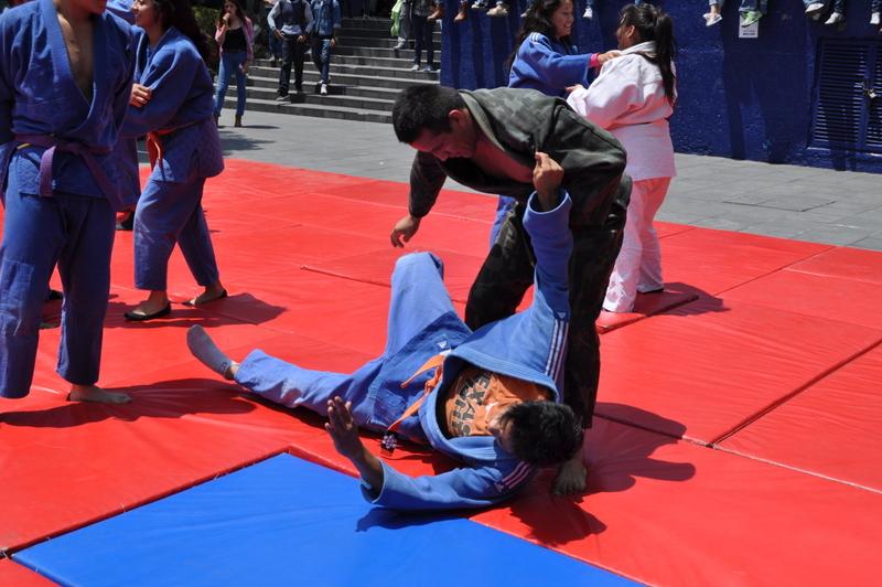Judo 2016
